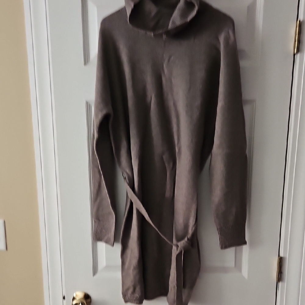 Garnet Hill Wool Turtleneck Sweater Dress